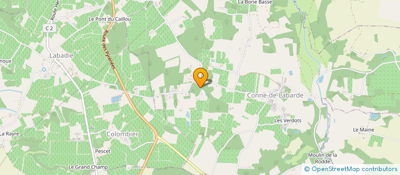 localisation de l'entreprise MADAME MARINE BALCERSKI  CONNE-DE-LABARDE