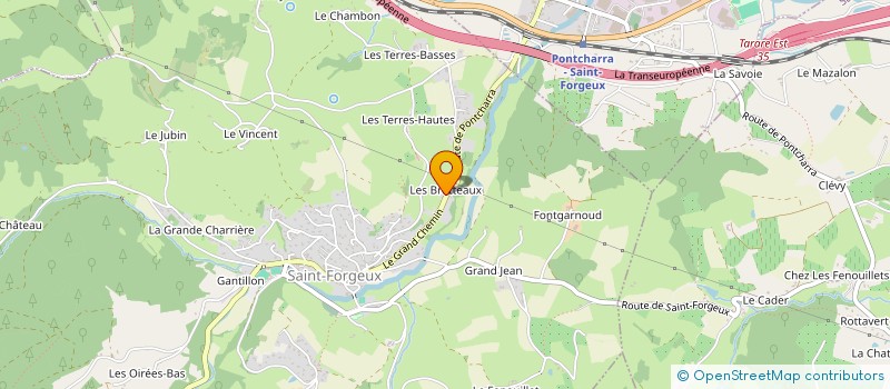 localisation de l'entreprise MADAME MARINE BOUYER  SAINT-FORGEUX