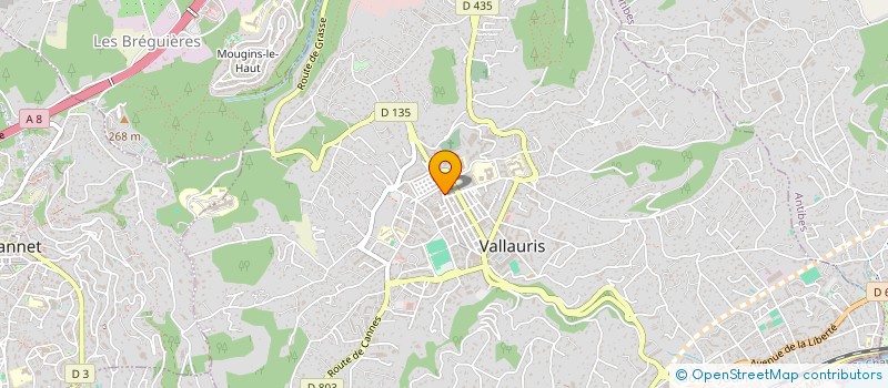 localisation de l'entreprise MADAME MARINE DUCORDEAUX  VALLAURIS