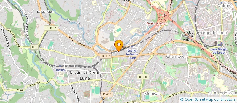 localisation de l'entreprise MADAME MARINE FAURE  TASSIN-LA-DEMI-LUNE