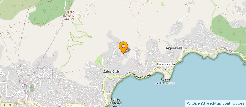 localisation de l'entreprise MADAME MARINE FORIN à LE LAVANDOU