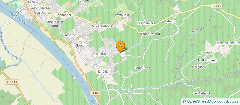 localisation de l'entreprise MADAME MARINE HONTANS  LOUPIAC