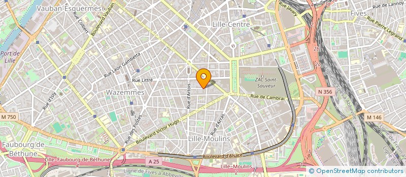 localisation de l'entreprise MADAME MARINE KRIBICH à LILLE