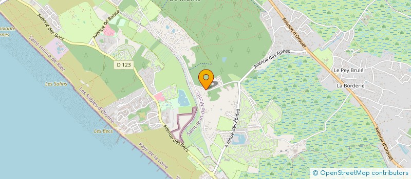 localisation de l'entreprise MADAME MARINE LOISEAUX  SAINT-JEAN-DE-MONTS