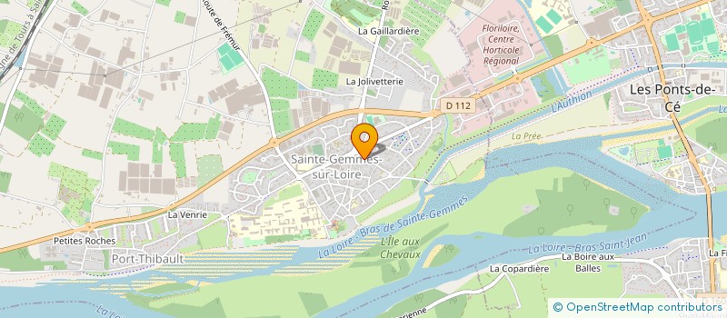 localisation de l'entreprise MADAME MARINE MOSSMANN FORESTIER à SAINTE-GEMMES-SUR-LOIRE