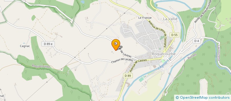 localisation de l'entreprise MADAME MARINE MOTTLO  ROQUECOURBE