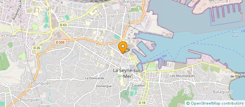 localisation de l'entreprise MADAME MARINE PAGANI  LA SEYNE-SUR-MER