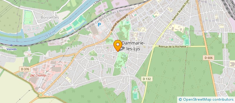localisation de l'entreprise MADAME MARINE PEYRISSOUS à DAMMARIE-LES-LYS