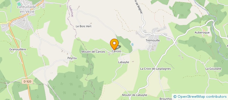 localisation de l'entreprise MADAME MARINETTE COURCHINOUX à LADINHAC