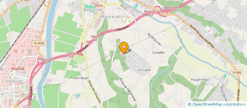 localisation de l'entreprise MADAME MARINETTE DELALEAU  MONTAUBAN