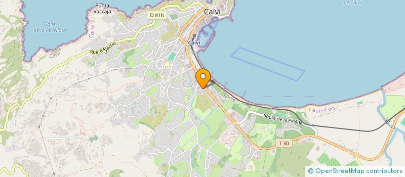 localisation de l'entreprise MADAME MARINHA RAZAFINDRAKOTO à CALVI