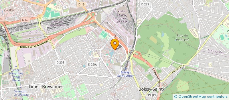 localisation de l'entreprise MADAME MARIOARA-DUMITRITA CHEPTENE à BOISSY-SAINT-LEGER