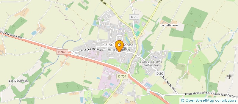 localisation de l'entreprise MADAME MARION ARNAUD  SAINT-CHRISTOPHE-DU-LIGNERON