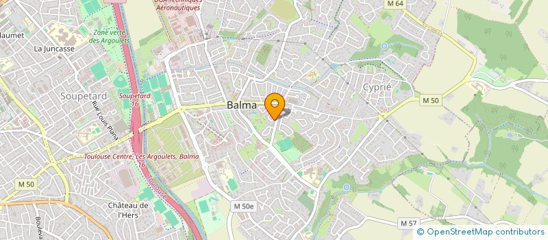 localisation de l'entreprise MADAME MARION BEDIN  TOULOUSE