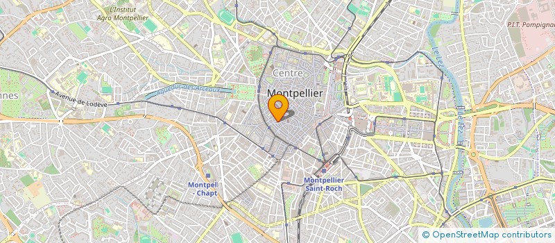 localisation de l'entreprise MADAME MARION BUDWIG à MONTPELLIER