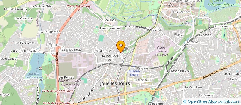 localisation de l'entreprise MADAME MARION CARRE  JOUE-LES-TOURS