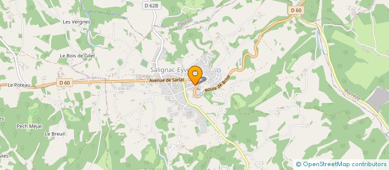 localisation de l'entreprise MADAME MARION CERIEZ  SALIGNAC-EYVIGUES