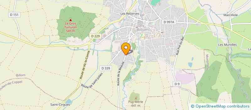 localisation de l'entreprise MADAME MARION CUERQ  BILLOM