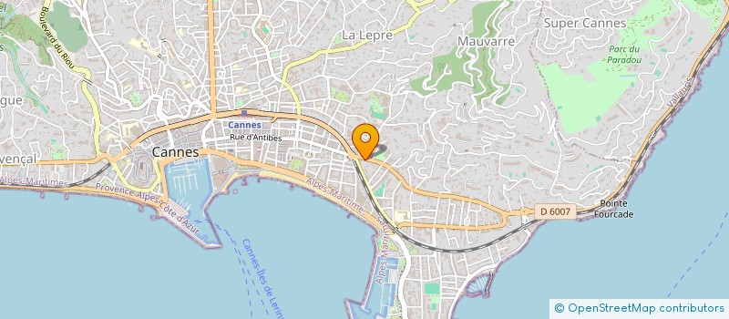 localisation de l'entreprise MADAME MARION DEMICHELIS à CANNES
