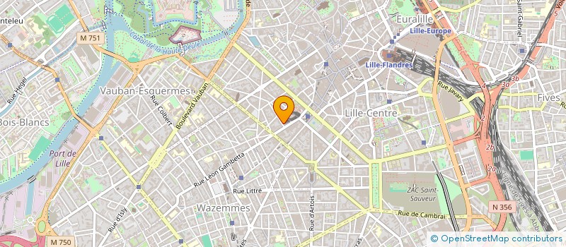 localisation de l'entreprise MADAME MARION EVIN à LILLE