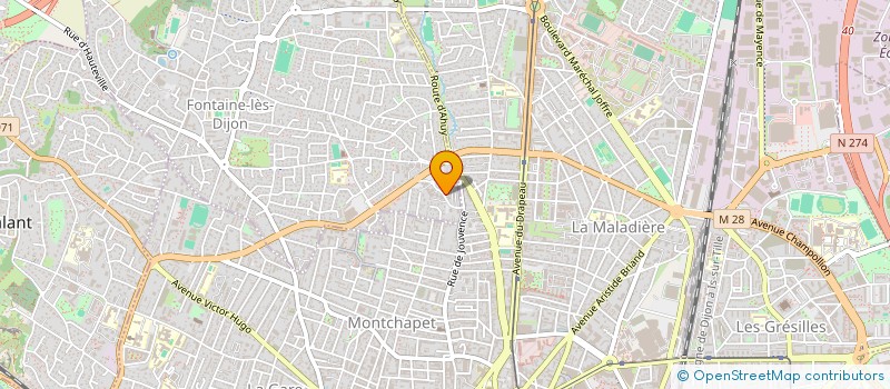 localisation de l'entreprise MADAME MARION FINET  FONTAINE-LES-DIJON