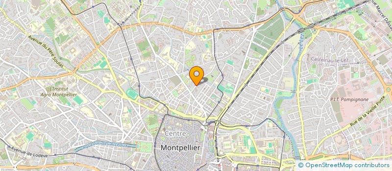 localisation de l'entreprise MADAME MARION FLORES à MONTPELLIER