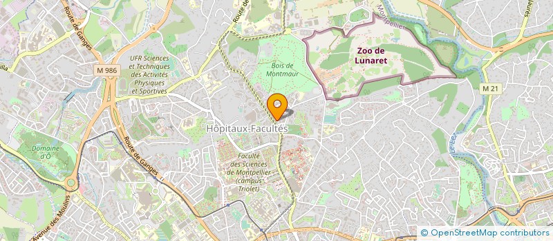 localisation de l'entreprise MADAME MARION FONTAINE à MONTPELLIER