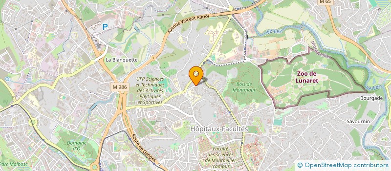 localisation de l'entreprise MADAME MARION GALLAY à MONTPELLIER