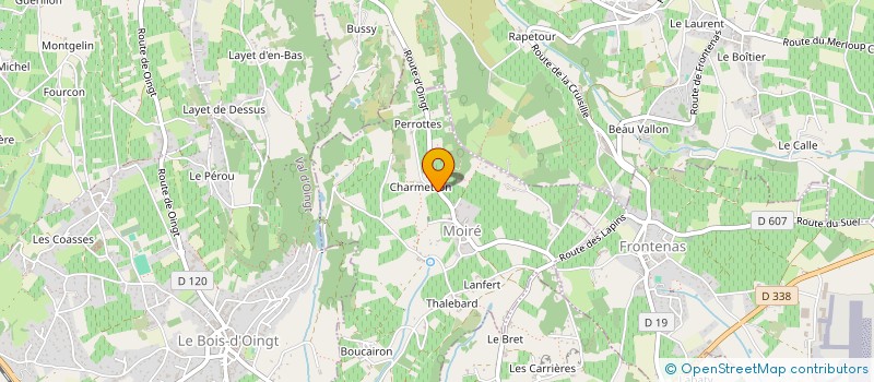 localisation de l'entreprise MADAME MARION GIRARD à MOIRE