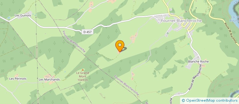 localisation de l'entreprise MADAME MARION GUENOT  FOURNET-BLANCHEROCHE