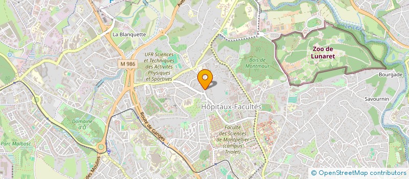 localisation de l'entreprise MADAME MARION HUGUES à MONTPELLIER