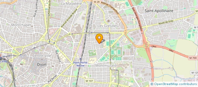 localisation de l'entreprise MADAME MARION LABOZ  DIJON