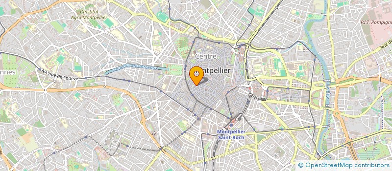 localisation de l'entreprise MADAME MARION LALE à MONTPELLIER