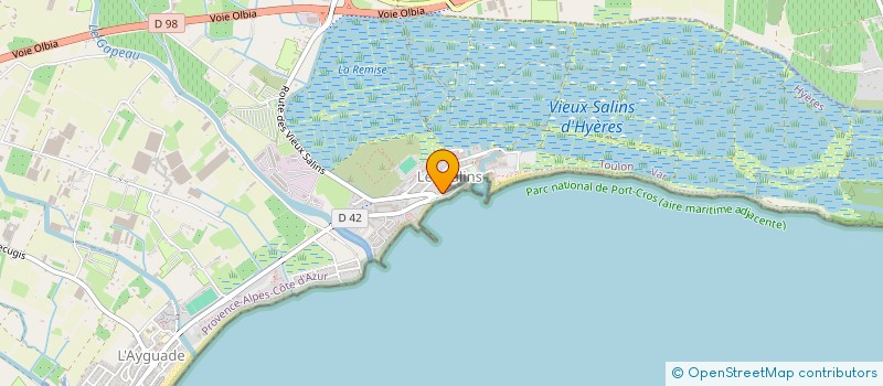 localisation de l'entreprise MADAME MARION LE NGOC THO  BORMES-LES-MIMOSAS