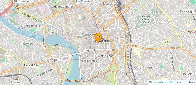 localisation de l'entreprise MADAME MARION LOUP à TOULOUSE