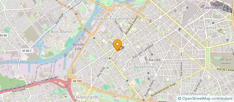 localisation de l'entreprise MADAME MARION MAHIEU à LILLE