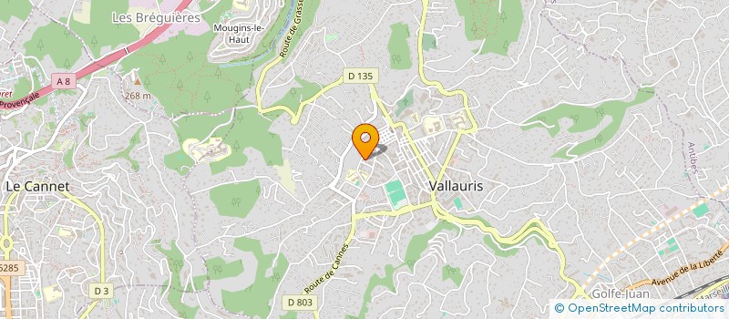 localisation de l'entreprise MADAME MARION MANNIEZ à VALLAURIS