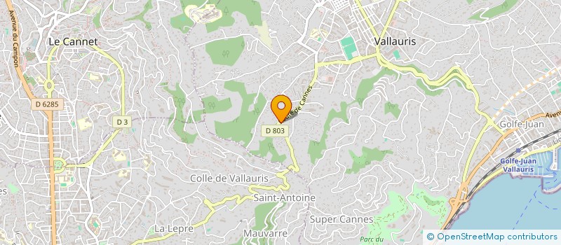 localisation de l'entreprise MADAME MARION MARIE GABRIELE  VALLAURIS