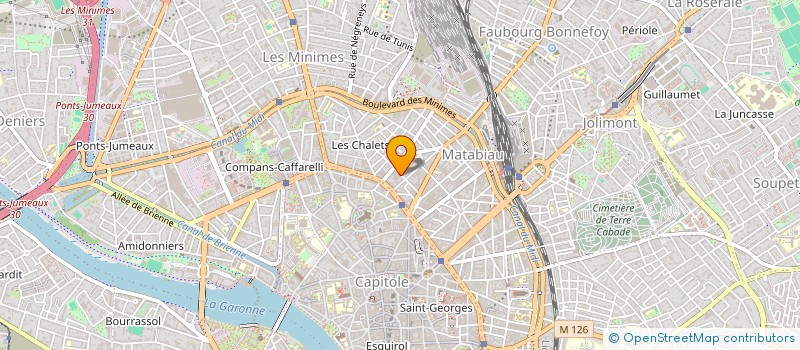 localisation de l'entreprise MADAME MARION MATHIEU  TOULOUSE