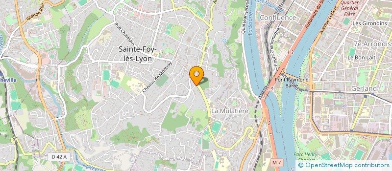 localisation de l'entreprise MADAME MARION MICHEL  SAINTE-FOY-LES-LYON