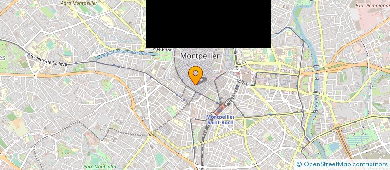 localisation de l'entreprise MADAME MARION MULLER à LATTES