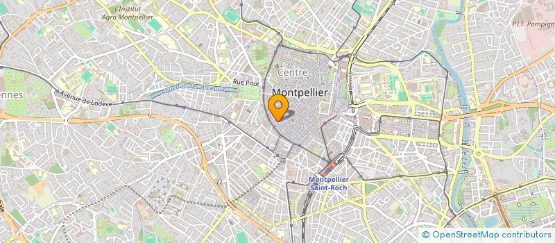 localisation de l'entreprise MADAME MARION MUSELET à MONTPELLIER