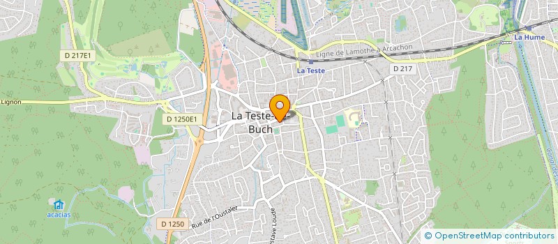 localisation de l'entreprise MADAME MARION NEGRI  LA TESTE-DE-BUCH