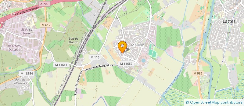 localisation de l'entreprise MADAME MARION PALVADEAU à LATTES