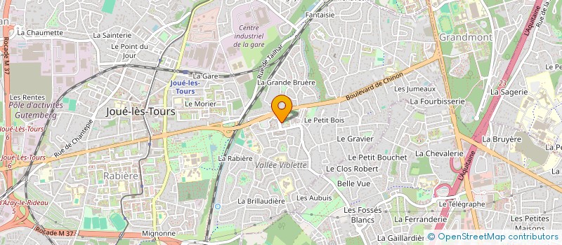 localisation de l'entreprise MADAME MARION PEYROUSE à JOUE-LES-TOURS