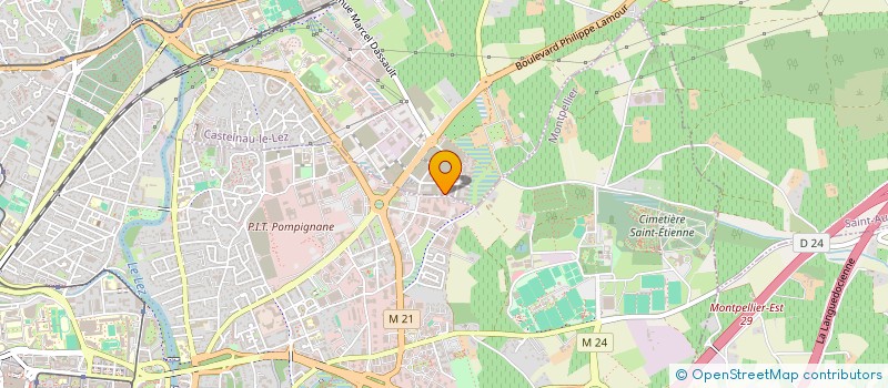 localisation de l'entreprise MADAME MARION REMILLIEUX  CASTELNAU-LE-LEZ