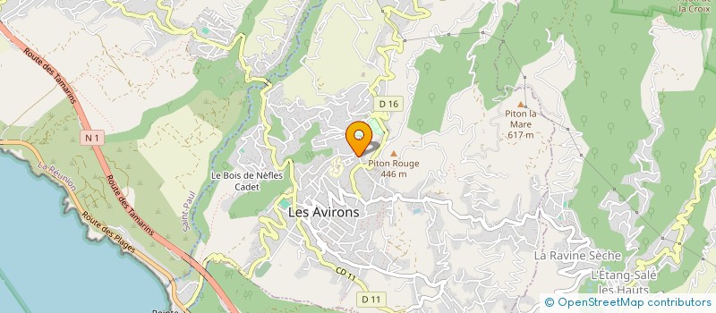 localisation de l'entreprise MADAME MARION RIVIERE  LES AVIRONS