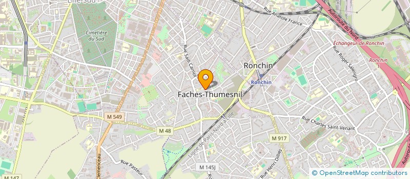 localisation de l'entreprise MADAME MARION VASSEUR  FACHES-THUMESNIL