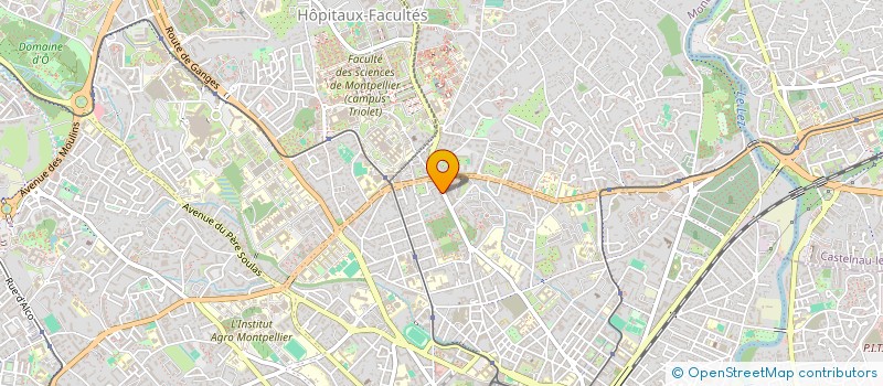 localisation de l'entreprise MADAME MARION VASTESAEGER à MONTPELLIER