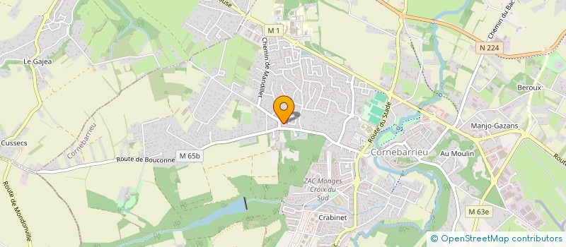 localisation de l'entreprise MADAME MARION VICENTE  CORNEBARRIEU